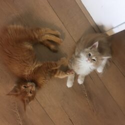 F1D94FB8-EE45-40CF-B641-C89DDBB1035C