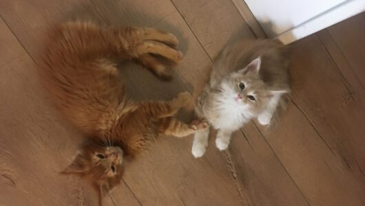 F1D94FB8-EE45-40CF-B641-C89DDBB1035C F1D94FB8-EE45-40CF-B641-C89DDBB1035C