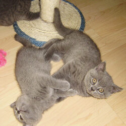 3534497902_bbb8de4313_z