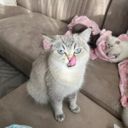 1edd4cbb-60fe-4d21-9e92-eb71ed39efb6