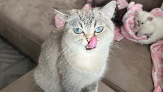 1edd4cbb-60fe-4d21-9e92-eb71ed39efb6 1edd4cbb-60fe-4d21-9e92-eb71ed39efb6